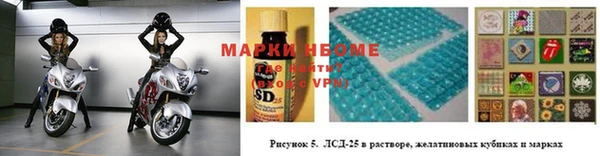 дурь Ельня