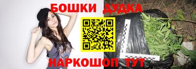 дмт Гай