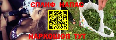 дмт Гай
