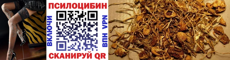 Псилоцибиновые грибы GOLDEN TEACHER  продажа наркотиков  Зерноград 